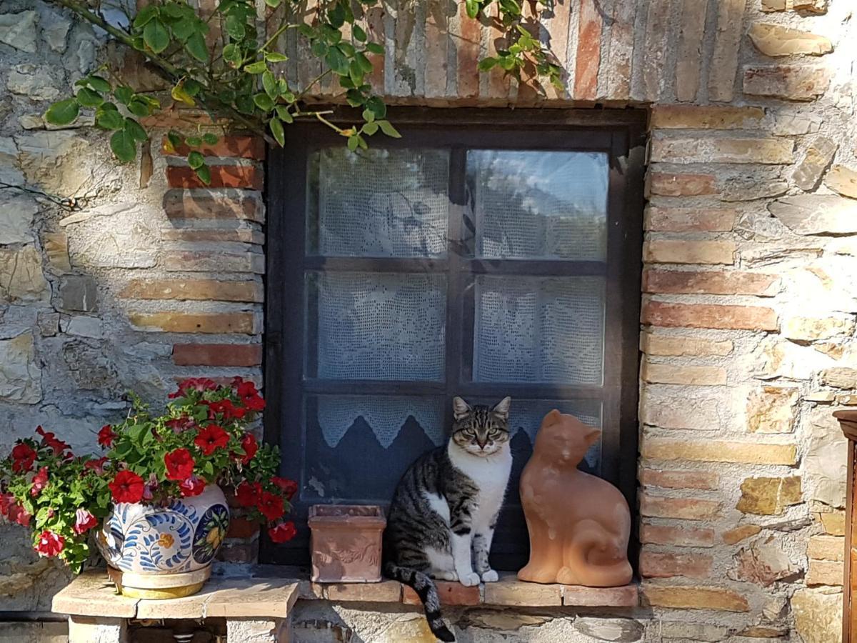 Podere Piandicava Castelnuovo di Val di Cecina Exterior foto