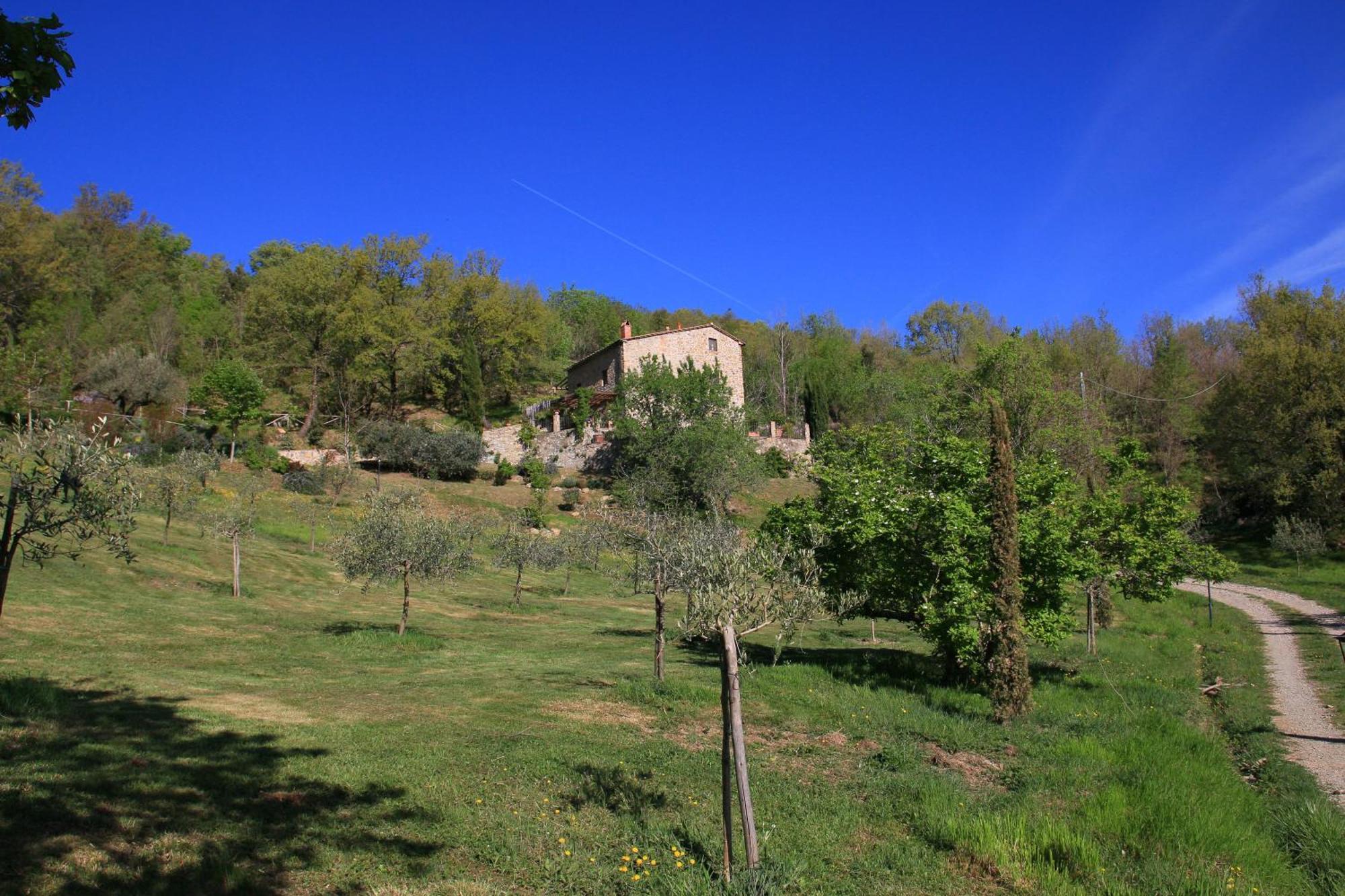 Podere Piandicava Castelnuovo di Val di Cecina Exterior foto